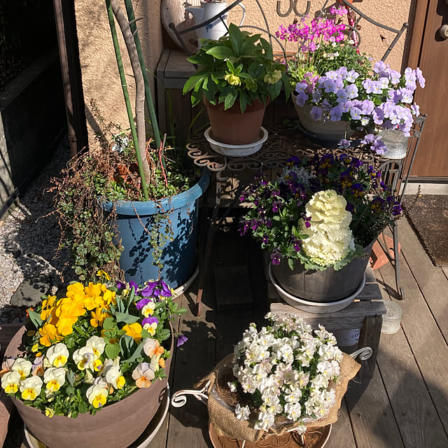 amiromikaさんの部屋