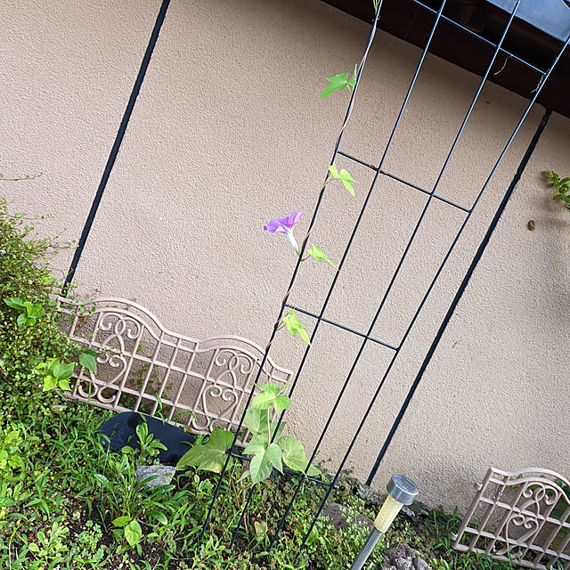 uchizukonyanさんの実例写真