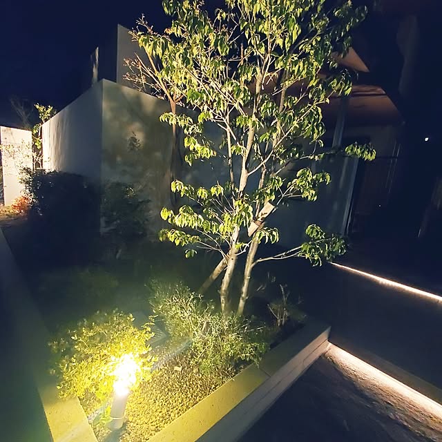 tokotokoさんの実例写真