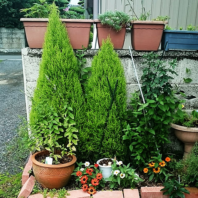 acopyさんの実例写真