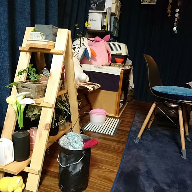 porinさんの実例写真
