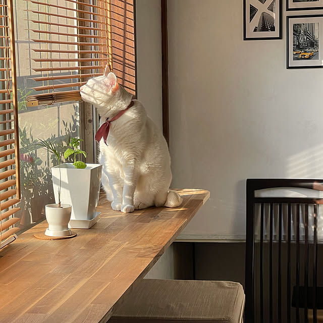 toshmail.w6さんの実例写真