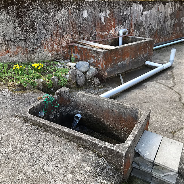 aoinokimiさんの実例写真