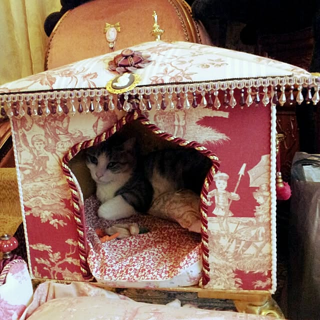 emmyyさんの実例写真