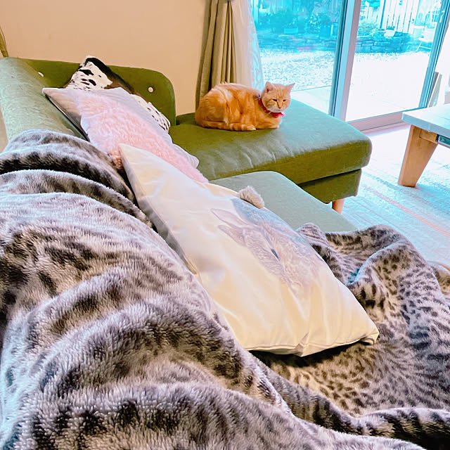 moolさんの部屋