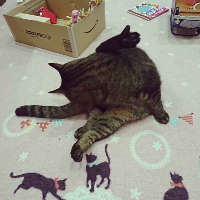 aisuさんの実例写真