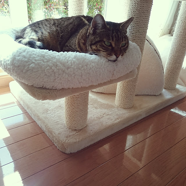 lilyさんの実例写真