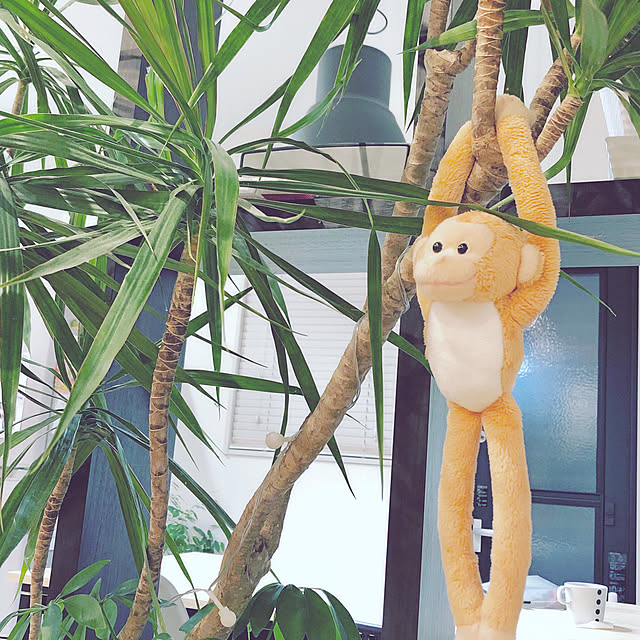 neneさんの実例写真