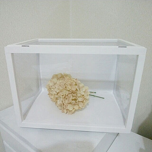 heart.emiemi57.whiteさんの実例写真