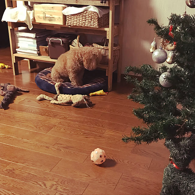 Lilicoさんの実例写真