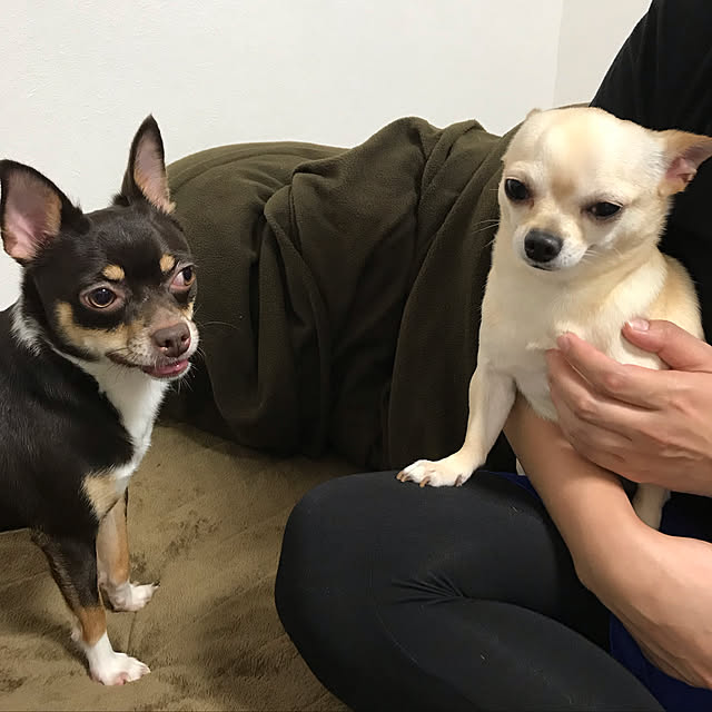 nacchintunnさんの実例写真