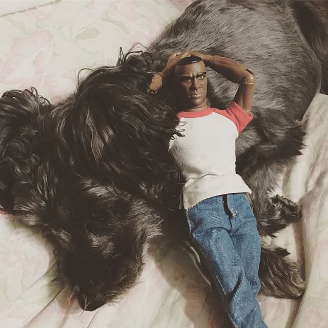 Shinichiさんの実例写真