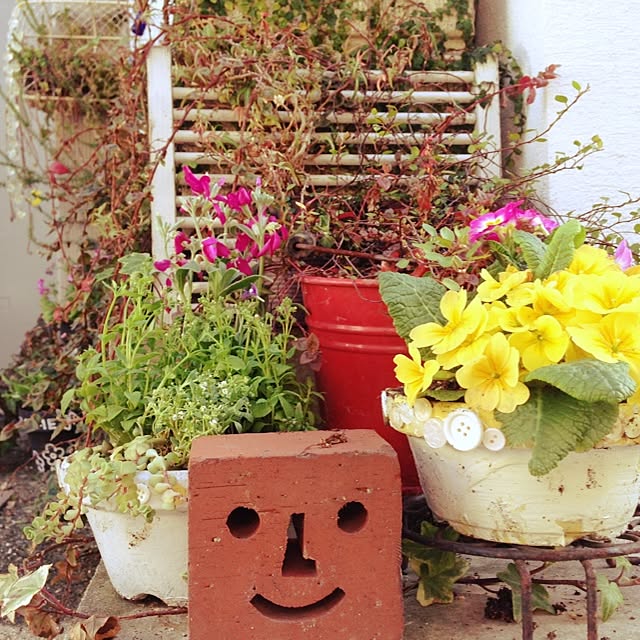 実例写真