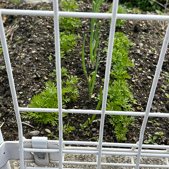 ritsukoさんの部屋