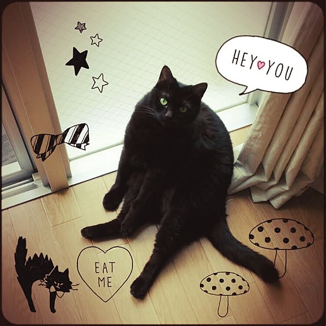 ayanoonさんの実例写真
