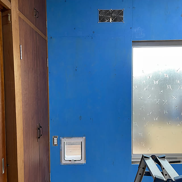 coolcats0528さんの部屋