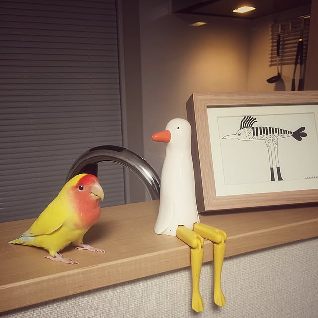 momiさんの実例写真