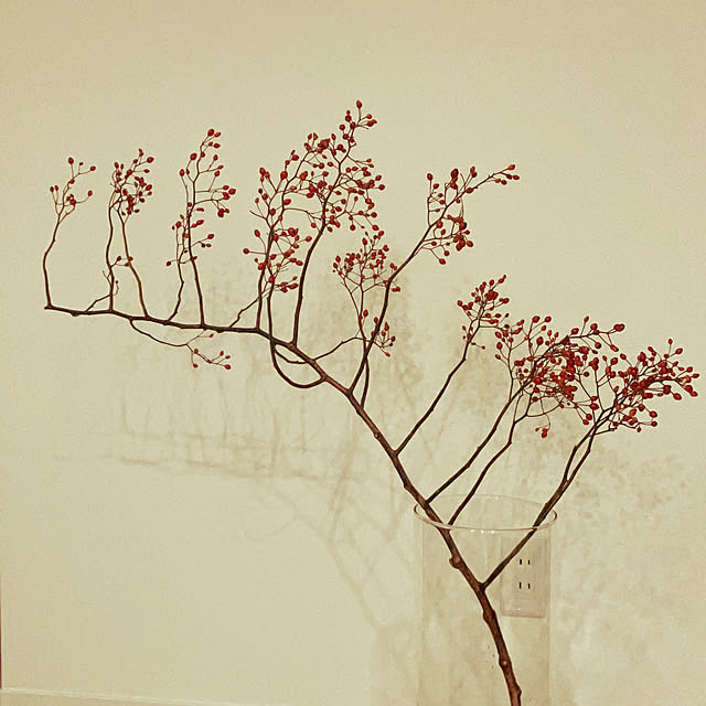 anyannnnnさんの実例写真