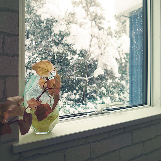 shinaTさんの実例写真