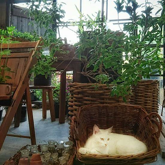 weさんの実例写真