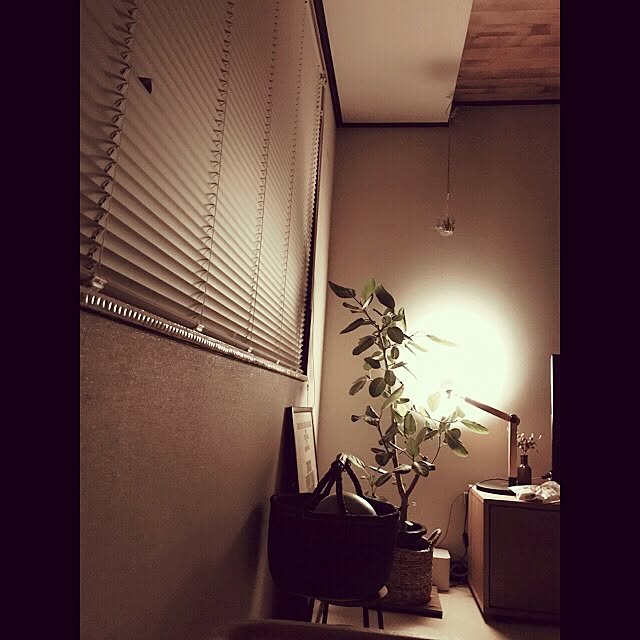 miiksさんの実例写真