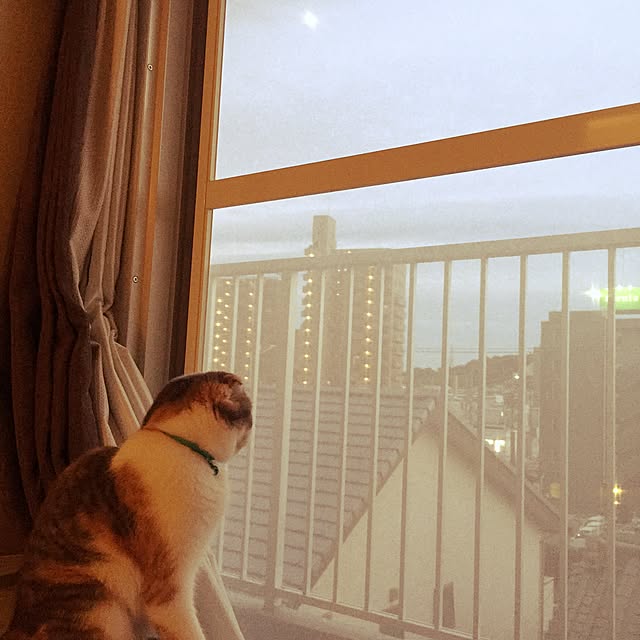 tityさんの実例写真