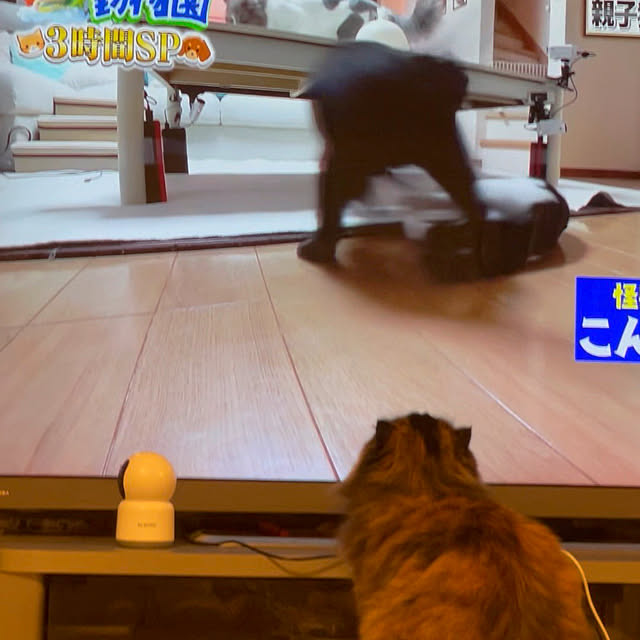 hima820さんの部屋