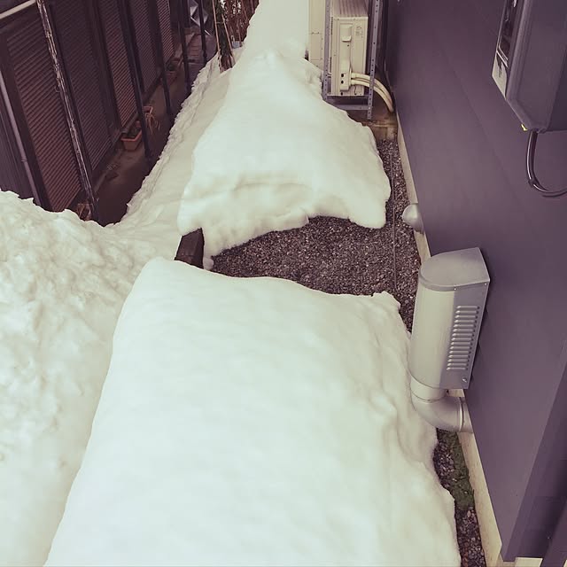 momotaroさんの実例写真