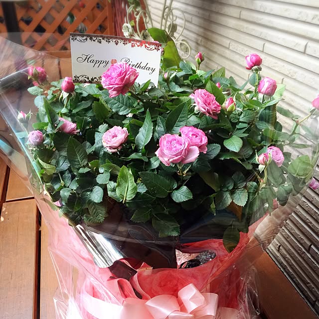 angelrose.yuuさんの実例写真