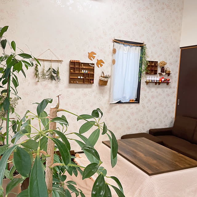 -Riley-mama.-さんの部屋