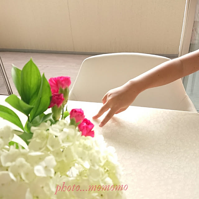 momomoさんの実例写真