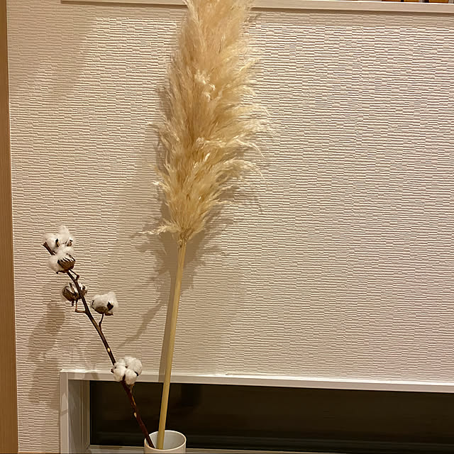 minya_nya_nyaさんの実例写真