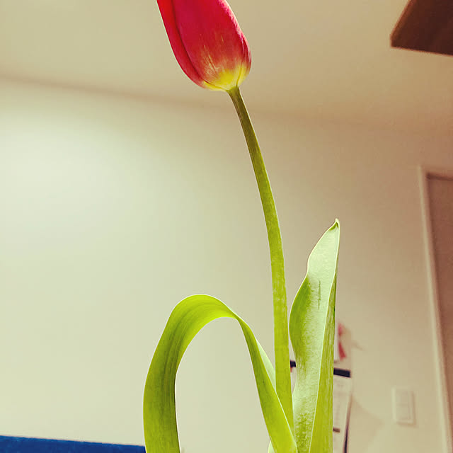 noriさんの実例写真