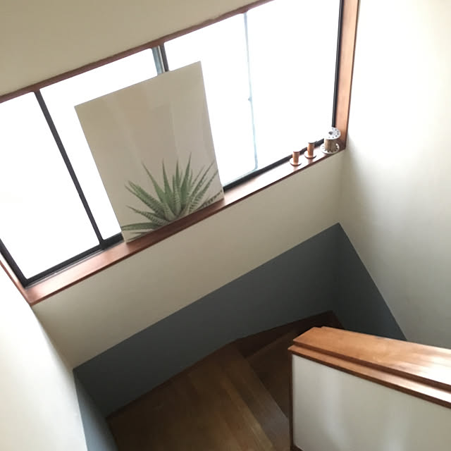 onokenkoさんの実例写真