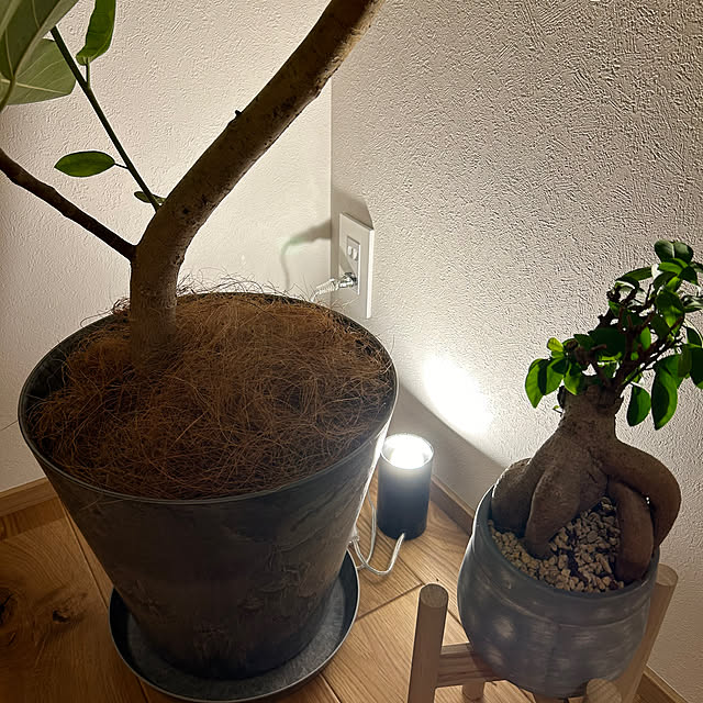 charo_homeさんの部屋