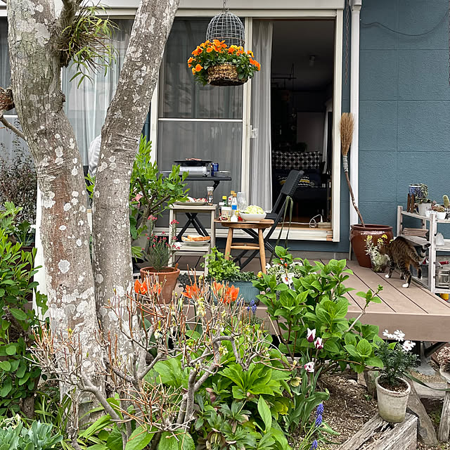 nobikoさんの部屋