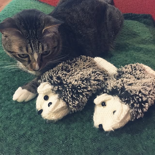 tsukiyuzuさんの実例写真