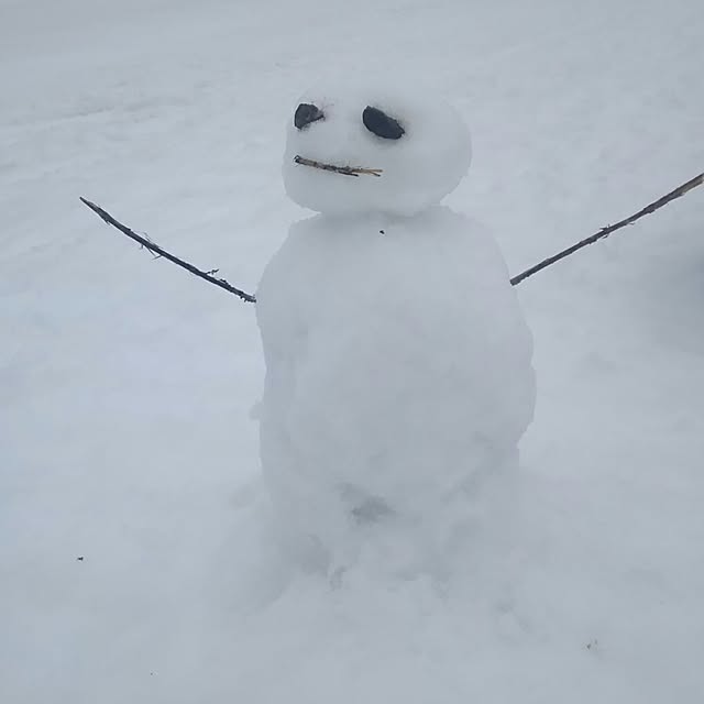 mikippeさんの実例写真
