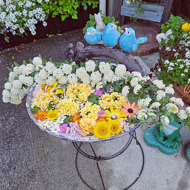 mocomocoさんの実例写真