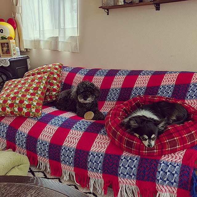 umeboshicyanさんの実例写真