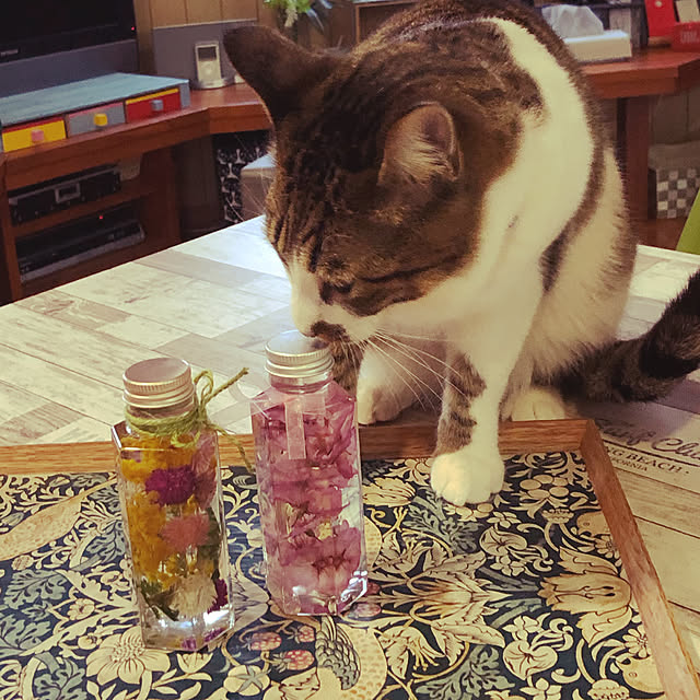 jijiさんの実例写真