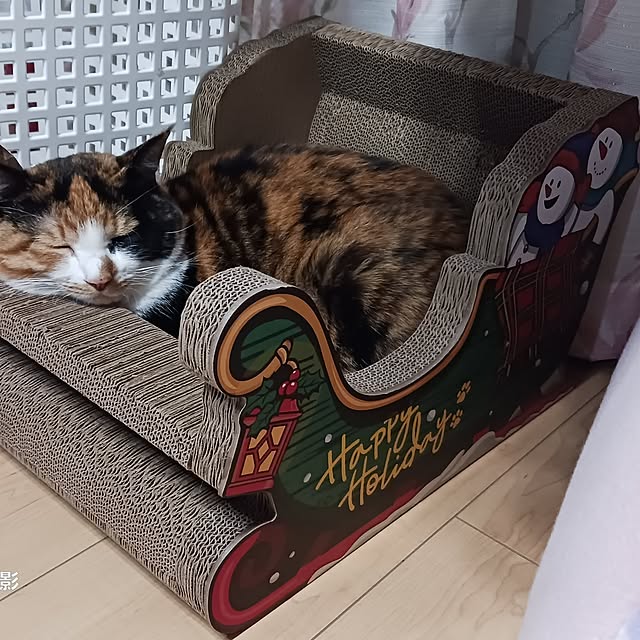 aiさんの実例写真