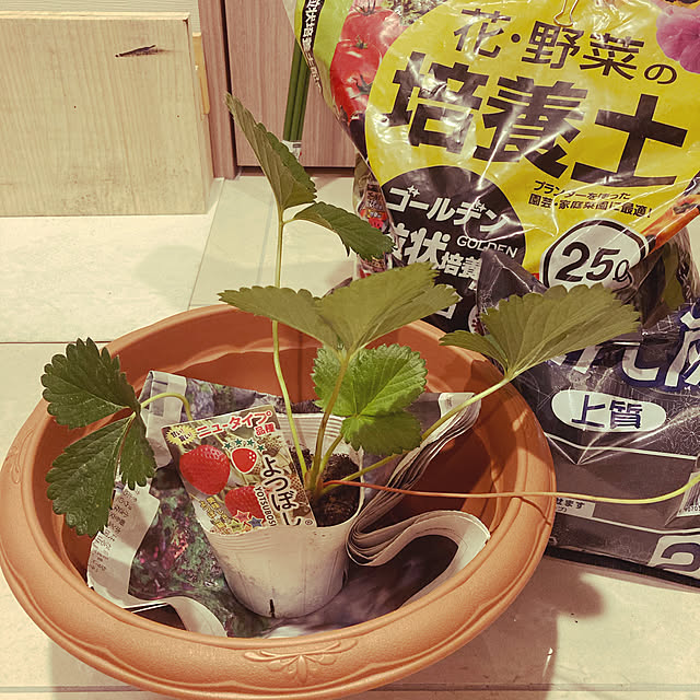 chicomaruさんの実例写真