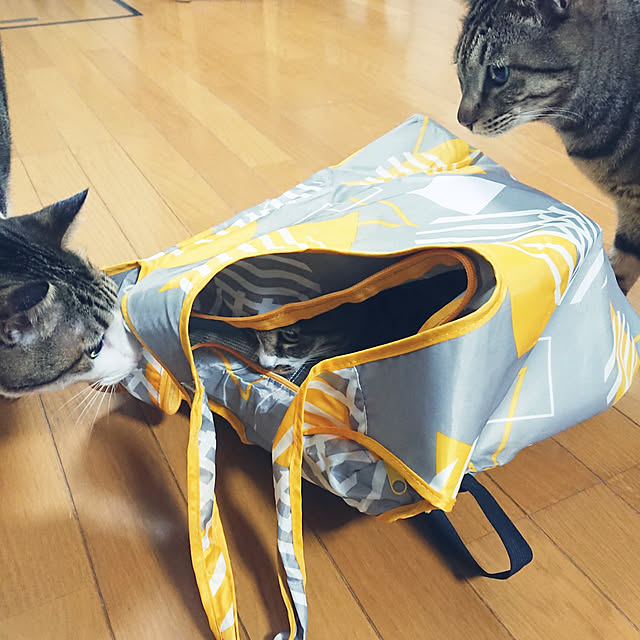 nachiさんの実例写真