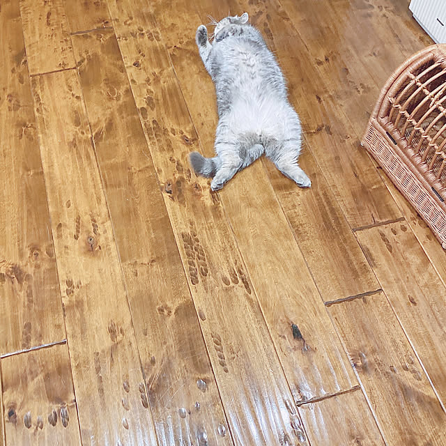 shizzzさんの実例写真