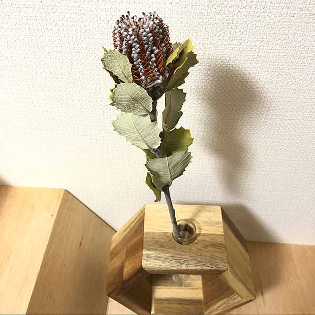 kaya23さんの実例写真