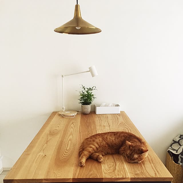 tmiyeさんの実例写真