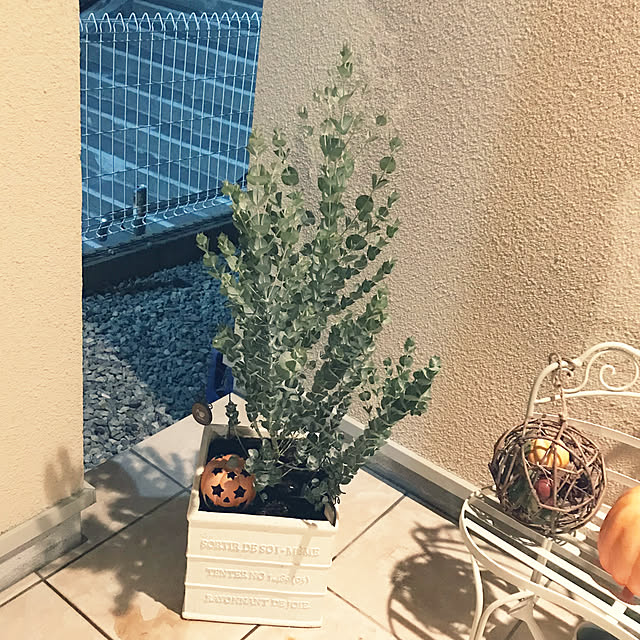 atsuichiさんの部屋