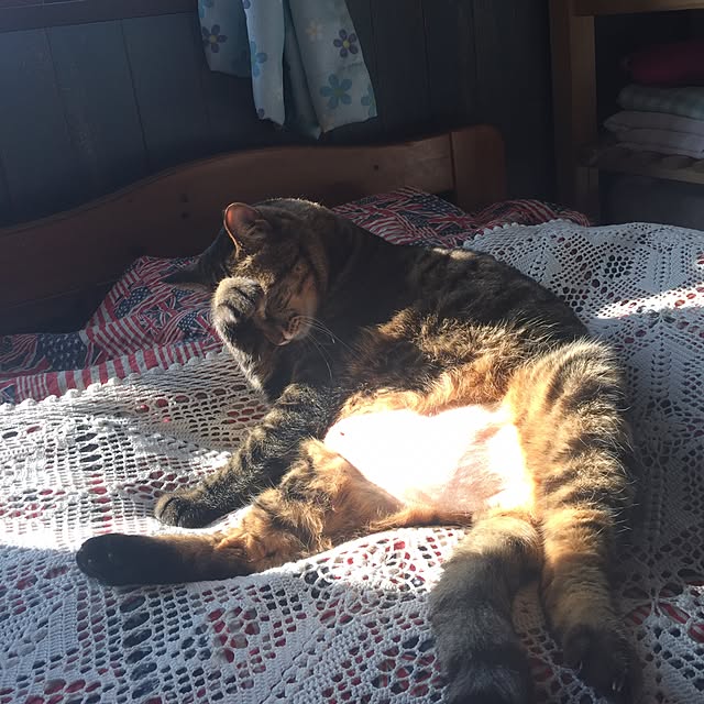 lifeさんの実例写真