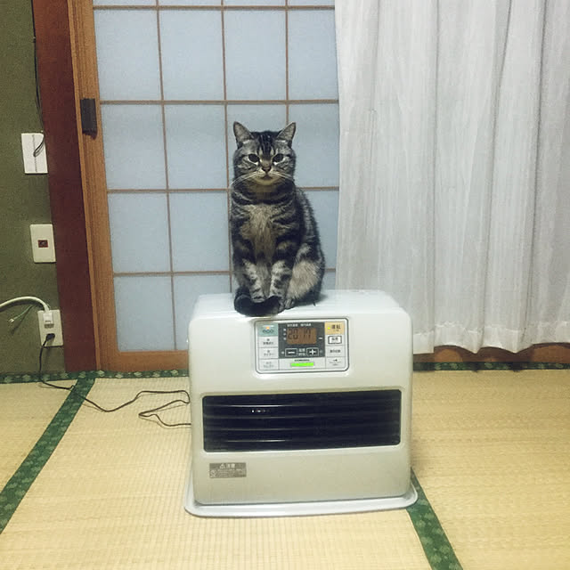 richanさんの実例写真